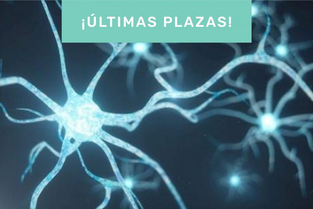 Curso Básico de Nervio Periférico y Movimiento en Neurorrehabilitación